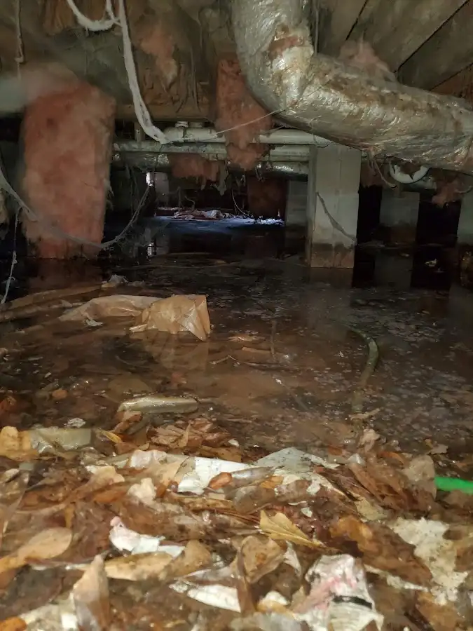 Crawl space flood assessment for Leak Detection & Repair in Alhambra